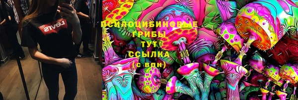 2c-b Снежногорск