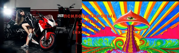 2c-b Снежногорск