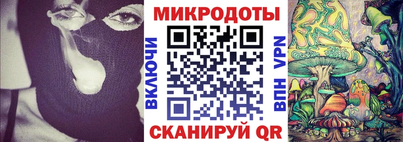 ОМГ ОМГ   Циолковский  Галлюциногенные грибы Psilocybe 
